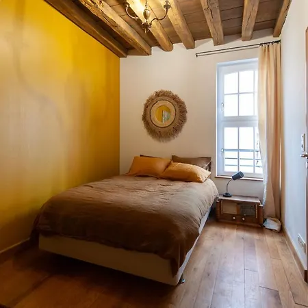 Maison La Ruelle Des Chats Centre Historique De Troyes 펜션 *