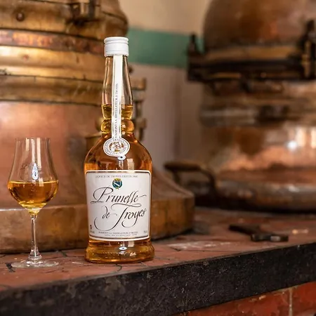 Maison La Ruelle Des Chats Centre Historique De Troyes * 트루아