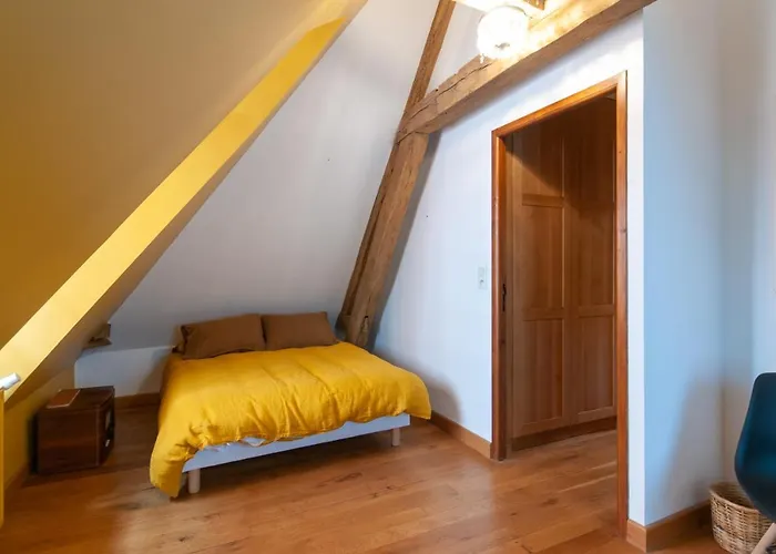 Maison La Ruelle Des Chats Centre Historique De